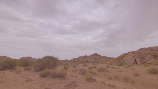 内蒙古 阿拉善沙漠 梭梭丛 山坡 广景 组镜视频素材模板下载