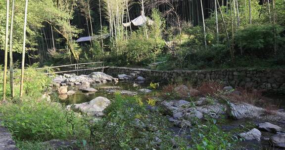 森林山涧溪流 浙东小九寨 白岩溪 芝林景区