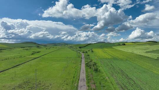 航拍乡村田野之路