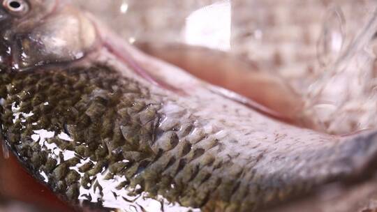 腌制鱼肉去腥加调料入味视频素材模板下载