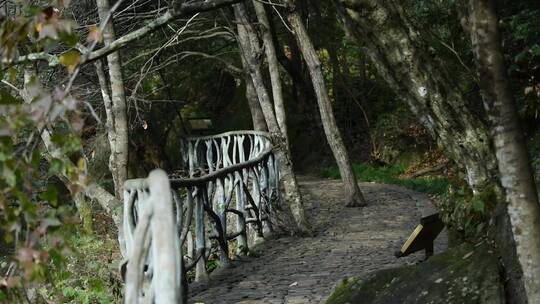 天台山石梁飞瀑石头山路