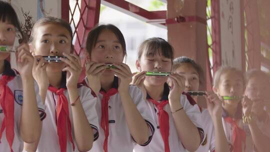 校园 中小学生 学习 校花园音乐