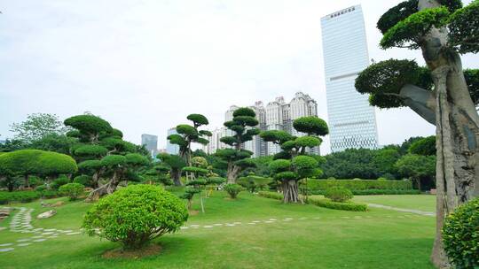 公园景观树造型修剪园林艺术园艺雕塑植物园