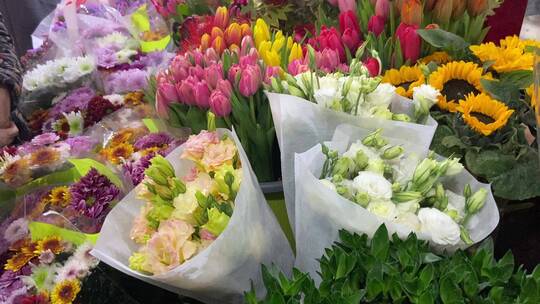 济南鲜花市场，百合、菊花、玫瑰花等视频素材模板下载