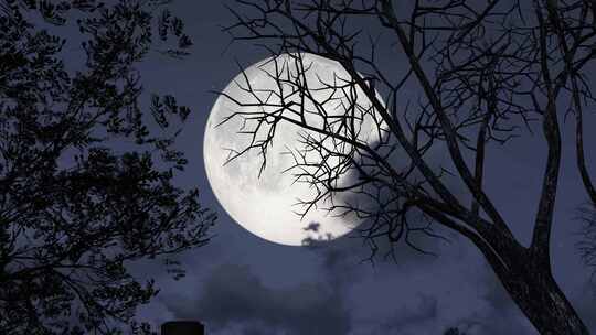 晚上月亮和乌云延时