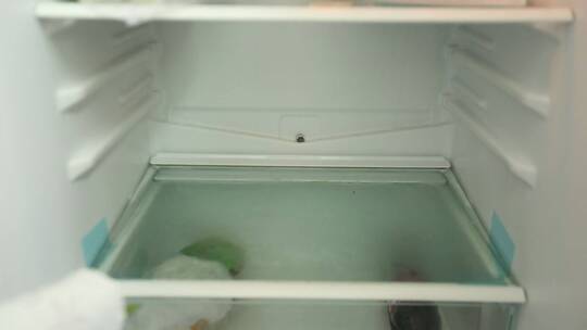 青菜鸡毛菜裹厨房纸放冰箱储存