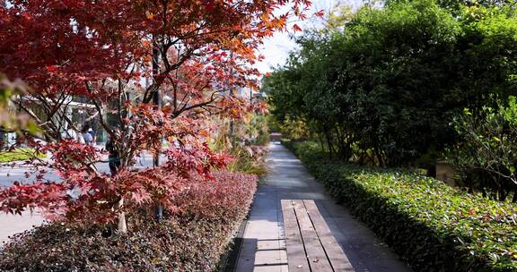 中国杭州阿里巴巴园区秋日美景