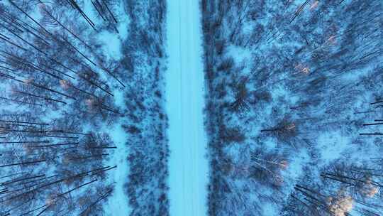 航拍大兴安岭初春林间雪路风景视频素材模板下载