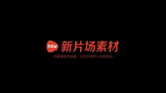 雪花噪点LOGO演绎片头