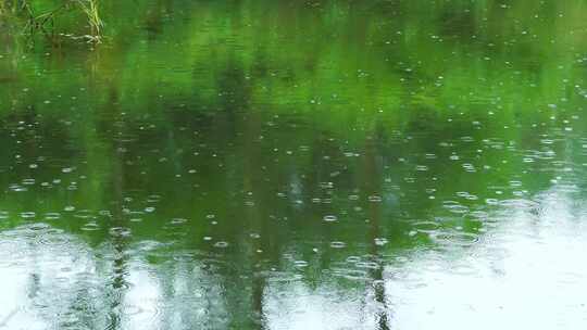 下雨天雨水雨滴落在池塘里泛起波纹和水花