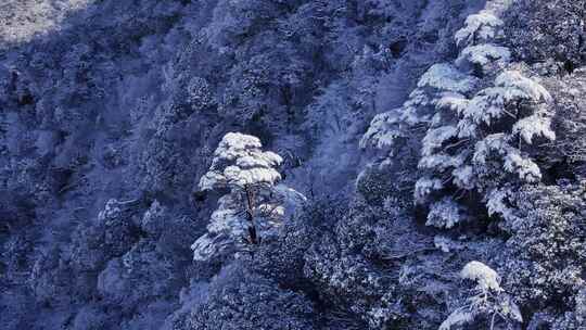 梵净山雪后云海仙境