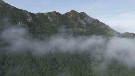 森林湖泊云海山川山脉云雾缭绕