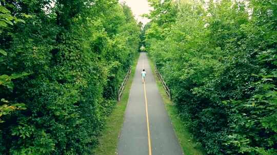 男人行走在林间小路