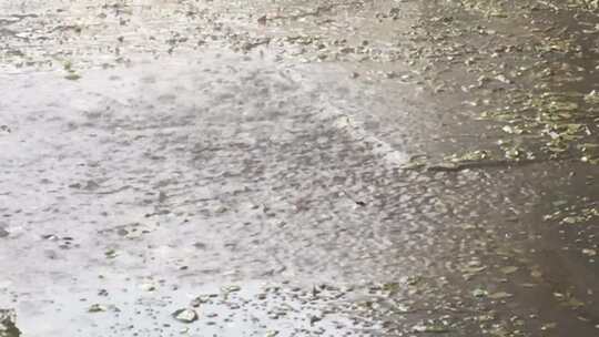 雨水倾泻在混凝土路面上