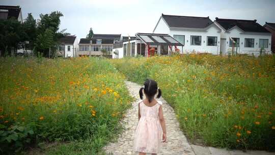 穿裙小女孩走在美丽乡村小道格桑花花海升格