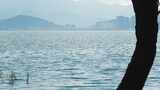 大理洱海湖岸风景高清在线视频素材下载