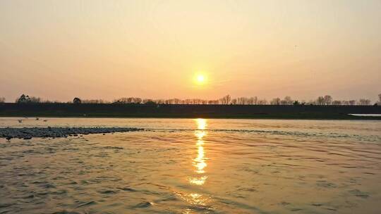 高清航拍日落夕阳江边小鸟鸭子鸟河水仙鹤