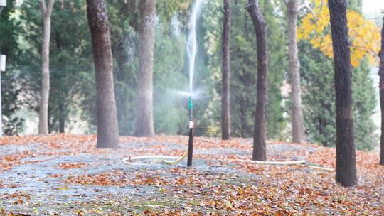 公园喷头水花灌溉浇水园林绿化