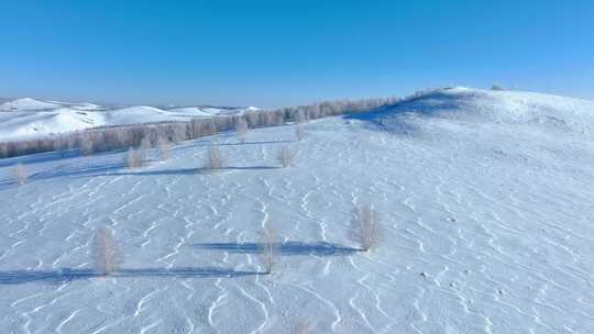 呼伦贝尔农垦农场田野冬天雪景自然风光