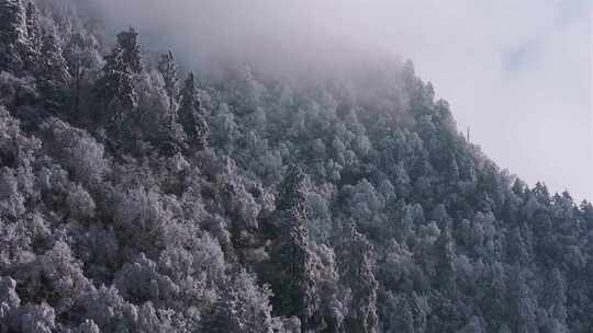 峡谷地貌雪景