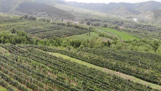 内蒙古赤峰市喀喇沁旗马鞍山视频素材模板下载