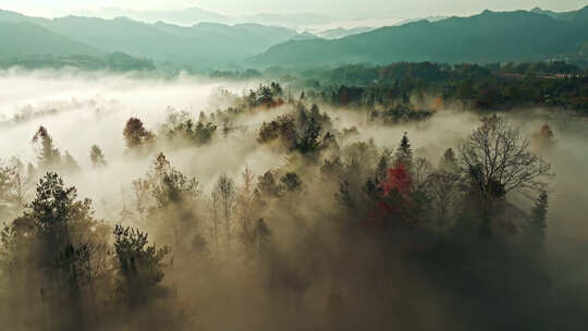 航拍秋天清晨山村云雾缭绕的场景