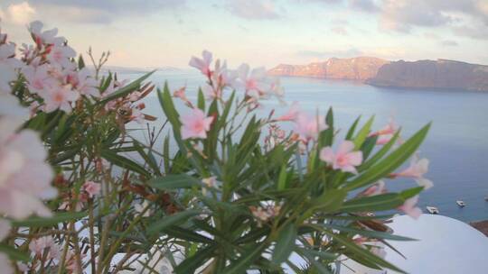 田园诗般的海岸