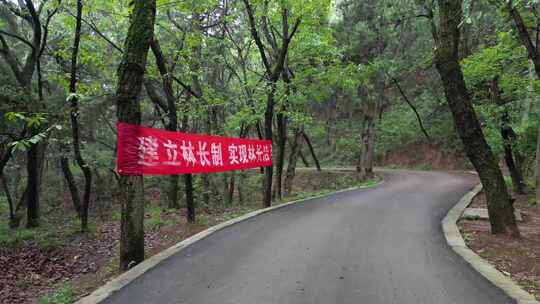 爱护环境标语 林长制 绿水青山 (2)