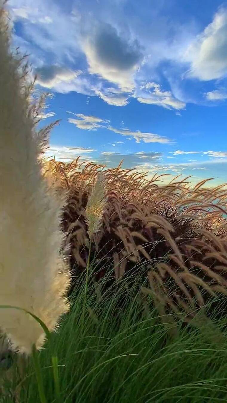 自然景观，治愈系风景，唯美意境，人间仙境