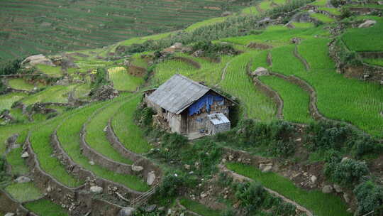 越南萨帕-太阳落山时带有水稻梯田的农舍景观