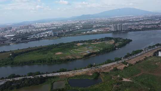 广东东莞：鲤鱼洲