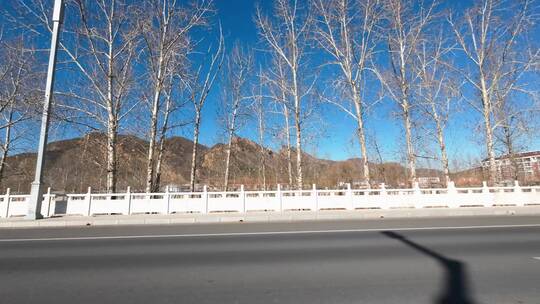 行车视角道路两侧绿化风景开车第一视角开车