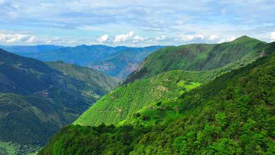 茶山 山川 云海 云南原始森林 大好河山