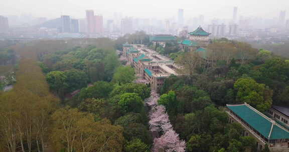 武大校园雾景，绿顶建筑隐于葱郁树木间