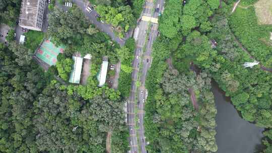 林间公路车流航拍