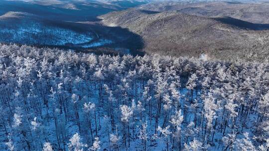 林海雪原 唯美高山雾凇