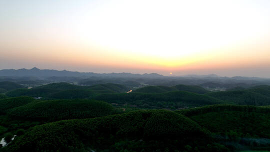 森林夕阳西下落日云雾森林江门台山视频素材模板下载