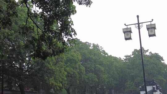 城市下雨素材雨水雨滴实拍