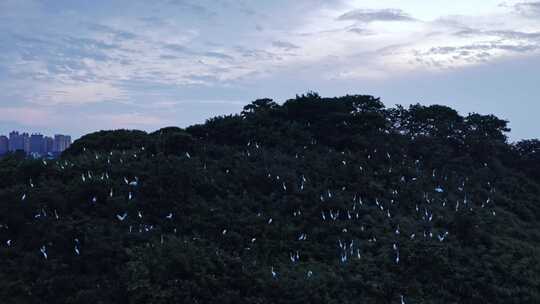 湖南岳阳洞庭湖小镇旅游景区