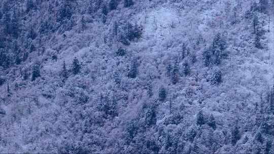 远眺牛背山雪景