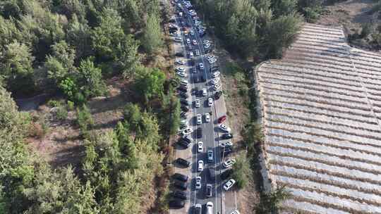 三亚后海村冲浪堵车