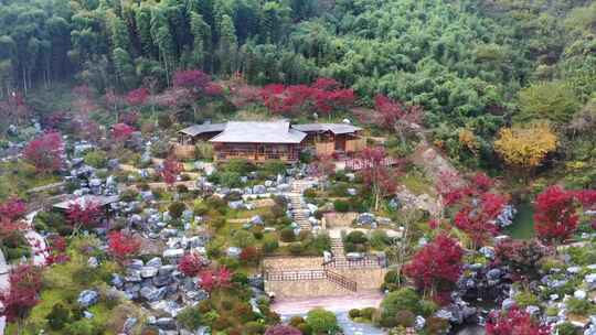 原创拍摄山间别墅枫叶山谷景色优美红枫