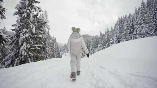 背部拍摄，冬天，雪，冷