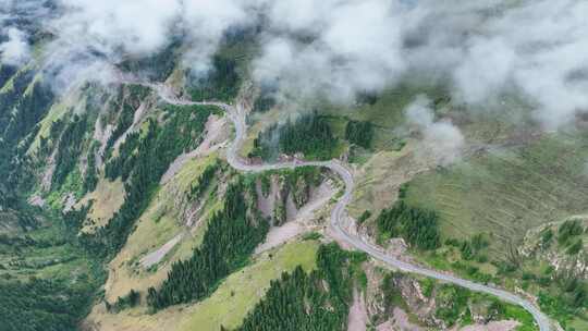 云雾盘山公路