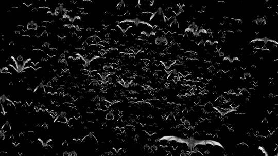 【带通道】万圣节一群蝙蝠迎面飞来冲入镜头