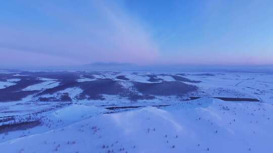 广阔雪地上的树木和山丘全景