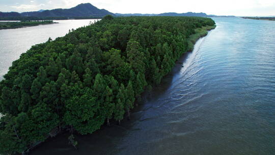 4k森林资源防风固沙水松林航道航拍