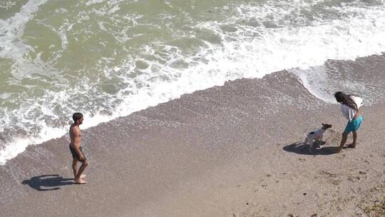夏天大海沙滩下的情侣与狗狗