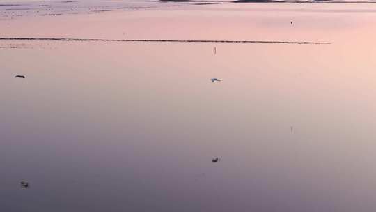 天空之境黄河入海口湿地日出