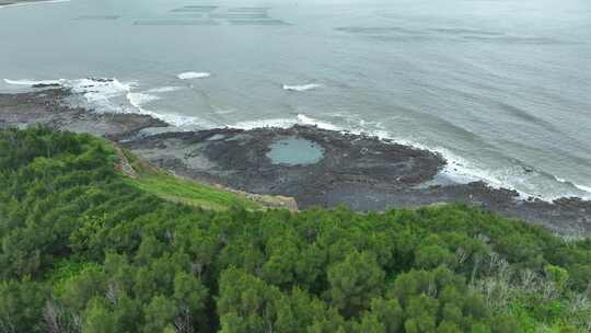 海岸森林礁石沙滩大海边树林航拍海岸线森林